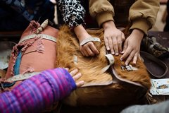Children's hands on animal fur.