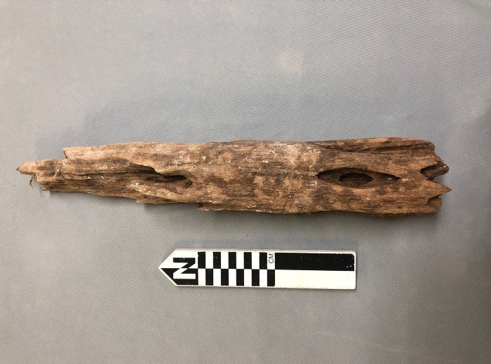 Artifact Spotlight — Wooden Post | The Alamo